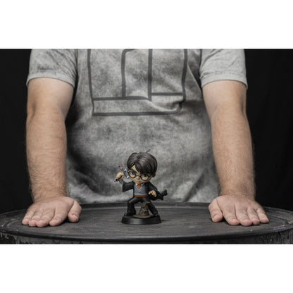 Iron Studios Harry Potter Harry Potter with Sword of Gryffindor Minico Vinyl Figure