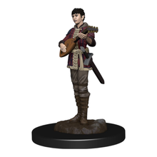 WizKids Games Dungeons & Dragons Premium Half Elf Bard Female Miniature