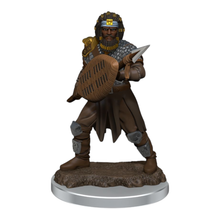 WizKids Games Dungeons & Dragons Icons of the Realms Premium Male Human Fighter