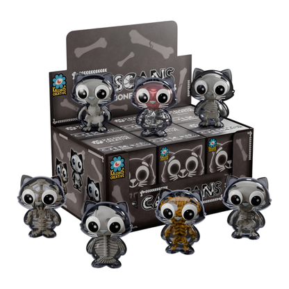 Kaleidos Creative Kaleidos Creative Catscans Bare Bones Blind Box Series 2 (Display of 6)