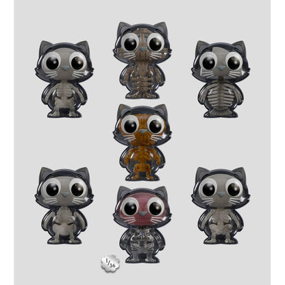 Kaleidos Creative Kaleidos Creative Catscans Bare Bones Blind Box Series 2 (Display of 6)