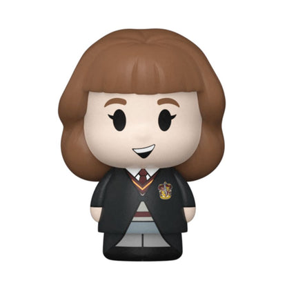 Funko Pop Harry Potter Hermione (with chase) Mini Moment