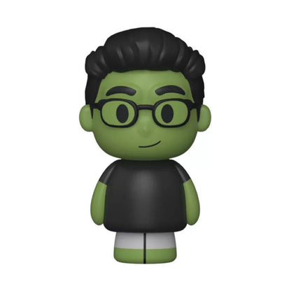 Funko Pop She Hulk (TV) She Hulk & Hulk US Exclusive Mini Moment [RS]