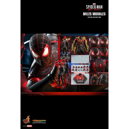 Hot Toys Marvel's Spider Man: Miles Morales Miles Morales 1:6 Scale Collectable Action Figure