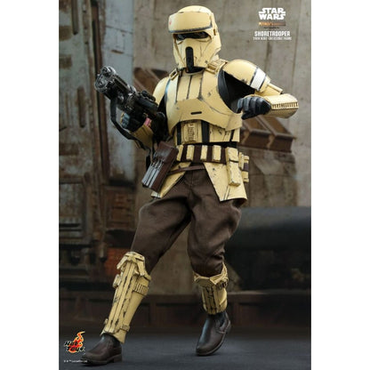 Hot Toys Star Wars: The Mandalorian Shoretrooper 1:6 Scale Collectable Action Figure