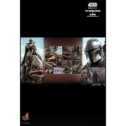 Hot Toys Star Wars: The Mandalorian Mandalorian & Blurrg 1:6 Scale Collectable Action Figure Set