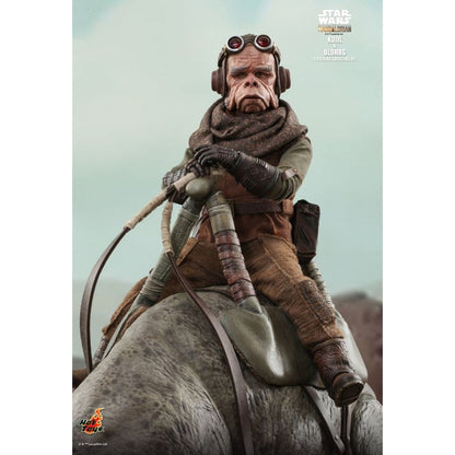 Hot Toys Star Wars: Mandalorian Kuiil & Blurrg 1:6 Scale Action Figure