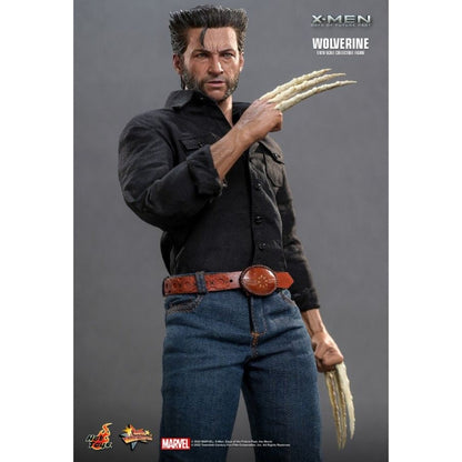 Hot Toys X Men 5: Day of Future Past Wolverine 1973 version 1:6 Scale Collectable Action Figure