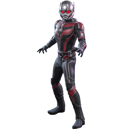 Hot Toys Ant Man and the Wasp: Quantumania Ant Man 1:6 Scale Collectable Action Figure
