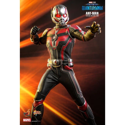 Hot Toys Ant Man and the Wasp: Quantumania Ant Man 1:6 Scale Collectable Action Figure