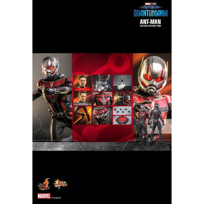 Hot Toys Ant Man and the Wasp: Quantumania Ant Man 1:6 Scale Collectable Action Figure
