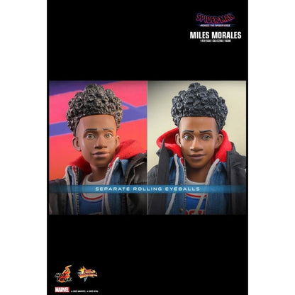 Hot Toys Spider Man: Across the Spider Verse Miles Morales 1:6 Scale Collectable Action Figure