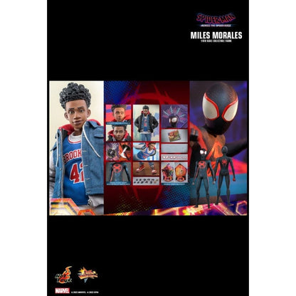 Hot Toys Spider Man: Across the Spider Verse Miles Morales 1:6 Scale Collectable Action Figure