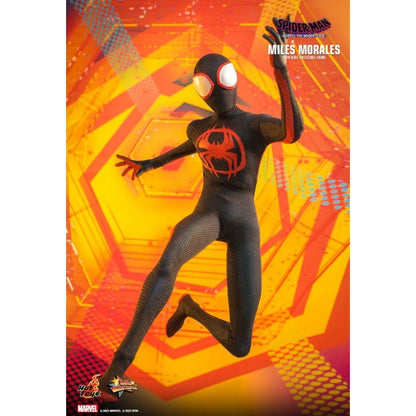 Hot Toys Spider Man: Across the Spider Verse Miles Morales 1:6 Scale Collectable Action Figure