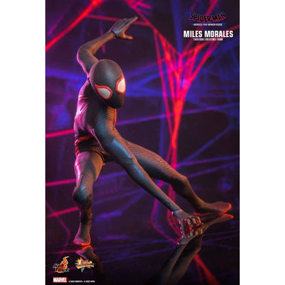 Hot Toys Spider Man: Across the Spider Verse Miles Morales 1:6 Scale Collectable Action Figure