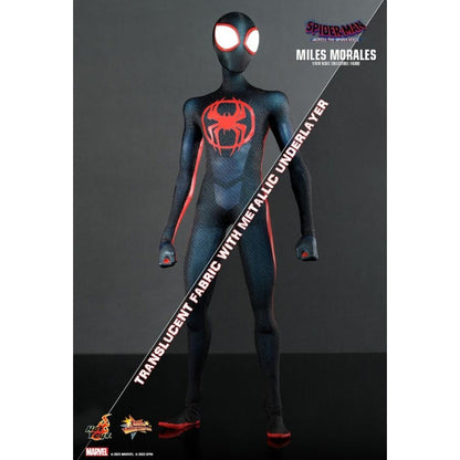 Hot Toys Spider Man: Across the Spider Verse Miles Morales 1:6 Scale Collectable Action Figure