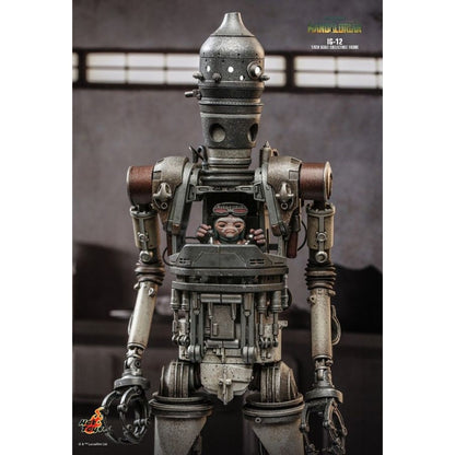 Hot Toys Star Wars: Mandalorian IG 12 1:6 Scale Collectable Action Figure