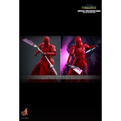 Hot Toys Star Wars Imperial Praetorian Guard 1:6 Scale Collectable Action Figure