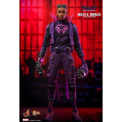 Hot Toys Spider Man: Across the Spider Verse Miles G. Morales 1:6 Scale Collectable Action Figure