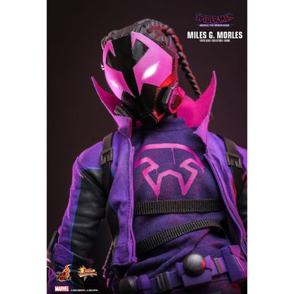 Hot Toys Spider Man: Across the Spider Verse Miles G. Morales 1:6 Scale Collectable Action Figure