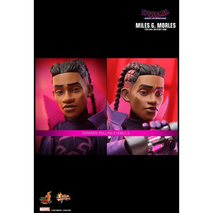 Hot Toys Spider Man: Across the Spider Verse Miles G. Morales 1:6 Scale Collectable Action Figure