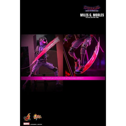Hot Toys Spider Man: Across the Spider Verse Miles G. Morales 1:6 Scale Collectable Action Figure