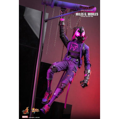 Hot Toys Spider Man: Across the Spider Verse Miles G. Morales 1:6 Scale Collectable Action Figure