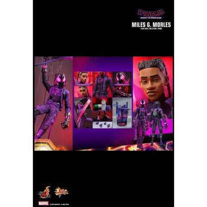 Hot Toys Spider Man: Across the Spider Verse Miles G. Morales 1:6 Scale Collectable Action Figure