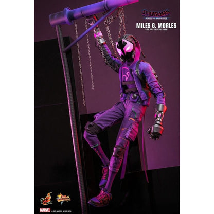 Hot Toys Spider Man: Across the Spider Verse Miles G. Morales 1:6 Scale Collectable Action Figure
