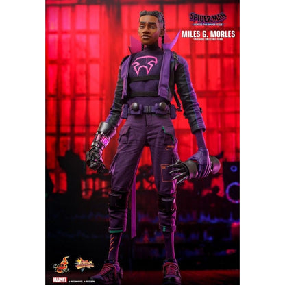 Hot Toys Spider Man: Across the Spider Verse Miles G. Morales 1:6 Scale Collectable Action Figure
