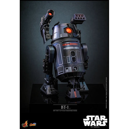 Hot Toys Star Wars BT 1 1:6 Scale Collectable Action Figure