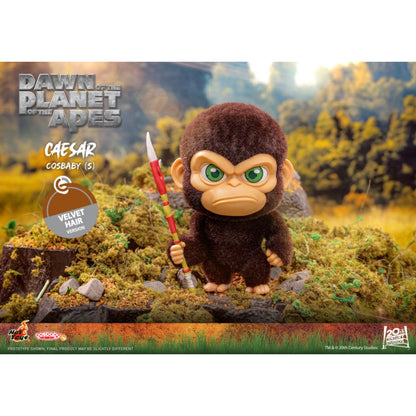 Hot Toys Dawn of the Planet of the Apes Caesar Velvet Hair Cosbaby