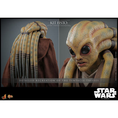 Hot Toys Star Wars Kit Fisto 1:6 Figure