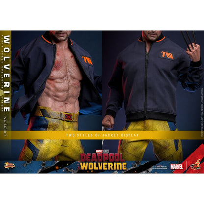 Hot Toys Deadpool & Wolverine Wolverine (TVA Jacket) 1:6 Scale Collectable Action Figure