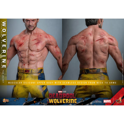 Hot Toys Deadpool & Wolverine Wolverine (TVA Jacket) 1:6 Scale Collectable Action Figure