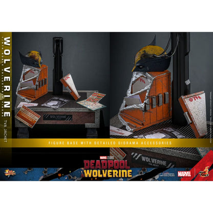 Hot Toys Deadpool & Wolverine Wolverine (TVA Jacket) 1:6 Scale Collectable Action Figure