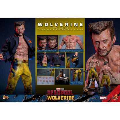 Hot Toys Deadpool & Wolverine Wolverine (TVA Jacket) 1:6 Scale Collectable Action Figure