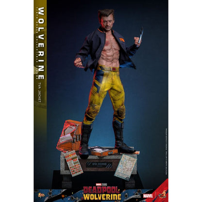 Hot Toys Deadpool & Wolverine Wolverine (TVA Jacket) 1:6 Scale Collectable Action Figure