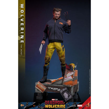 Hot Toys Deadpool & Wolverine Wolverine (TVA Jacket) 1:6 Scale Collectable Action Figure