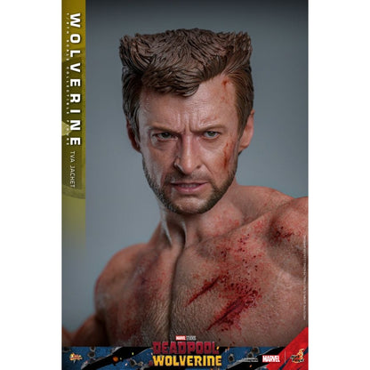 Hot Toys Deadpool & Wolverine Wolverine (TVA Jacket) 1:6 Scale Collectable Action Figure