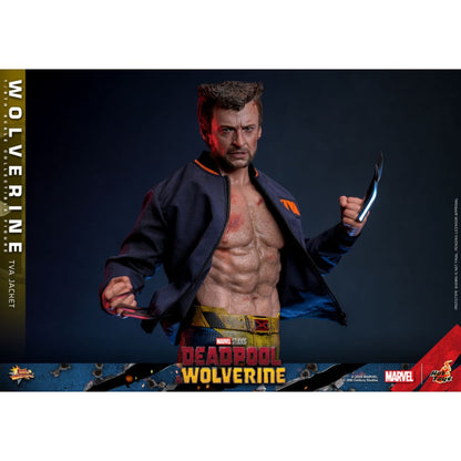 Hot Toys Deadpool & Wolverine Wolverine (TVA Jacket) 1:6 Scale Collectable Action Figure