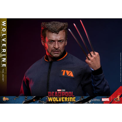 Hot Toys Deadpool & Wolverine Wolverine (TVA Jacket) 1:6 Scale Collectable Action Figure