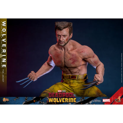 Hot Toys Deadpool & Wolverine Wolverine (TVA Jacket) 1:6 Scale Collectable Action Figure