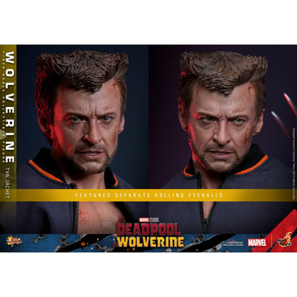 Hot Toys Deadpool & Wolverine Wolverine (TVA Jacket) 1:6 Scale Collectable Action Figure