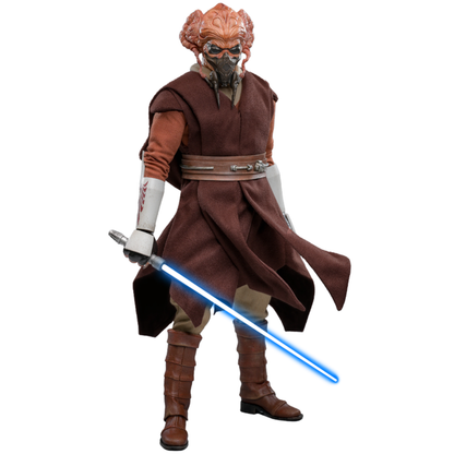 Hot Toys Star Wars: Revenge of the Sith Plo Koon 1:6 Scale Collectable Action Figure
