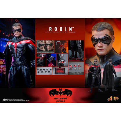 Hot Toys Batman & Robin Robin 1:6 Scale Collectable Action Figure