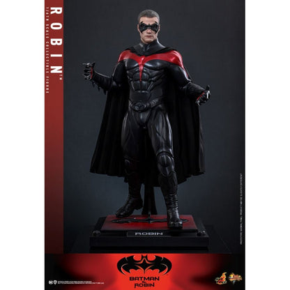 Hot Toys Batman & Robin Robin 1:6 Scale Collectable Action Figure