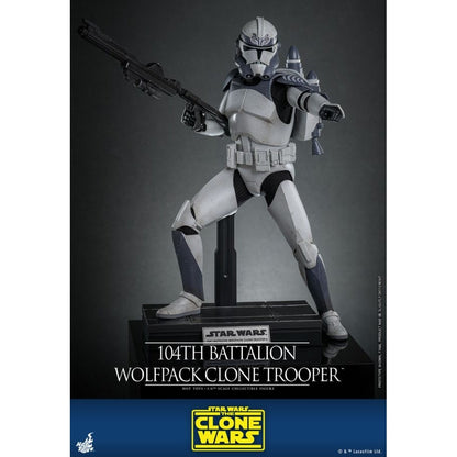 Hot Toys Star Wars 104th Battalion Wolfpack Clone Trooper 1:6 Scale Collectable Action Figure