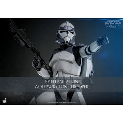 Hot Toys Star Wars 104th Battalion Wolfpack Clone Trooper 1:6 Scale Collectable Action Figure