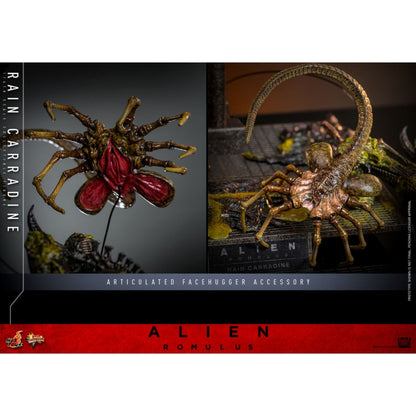 Hot Toys Alien: Romulus Rain Carradine 1:6 Scale Collectable Action Figure